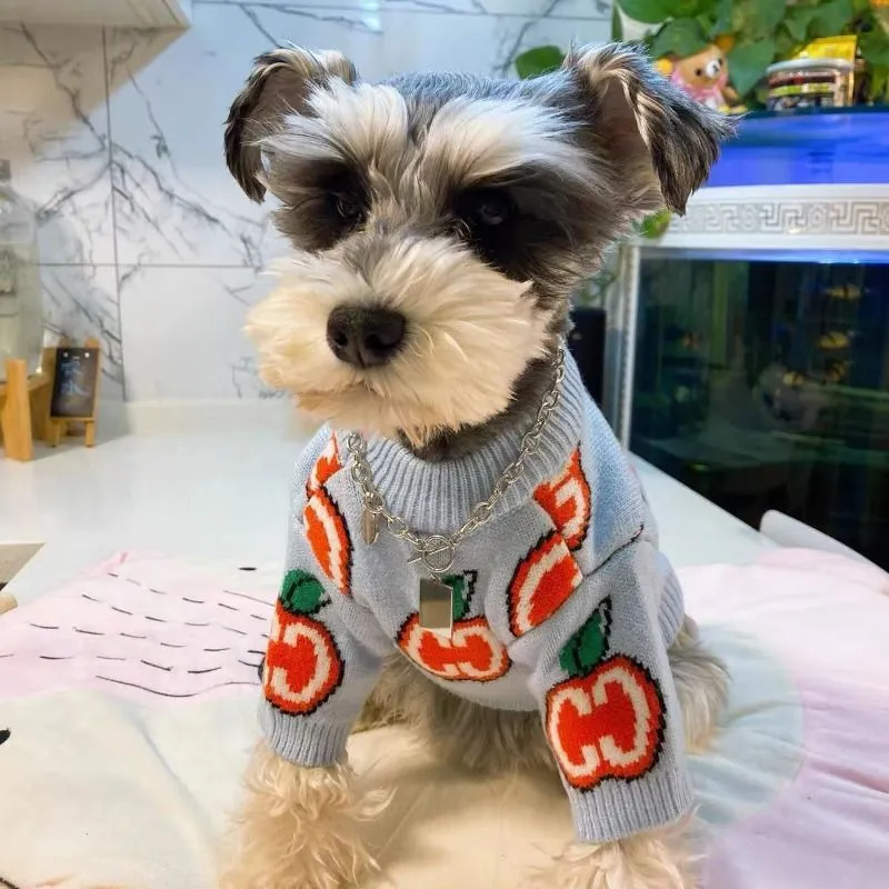 Letter Sweater Pet Dog Clothes - огляд і ціна Winter Clothing Kids