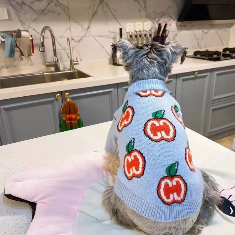 Letter Sweater Pet Dog Clothes - огляд і ціна Winter Clothing Kids