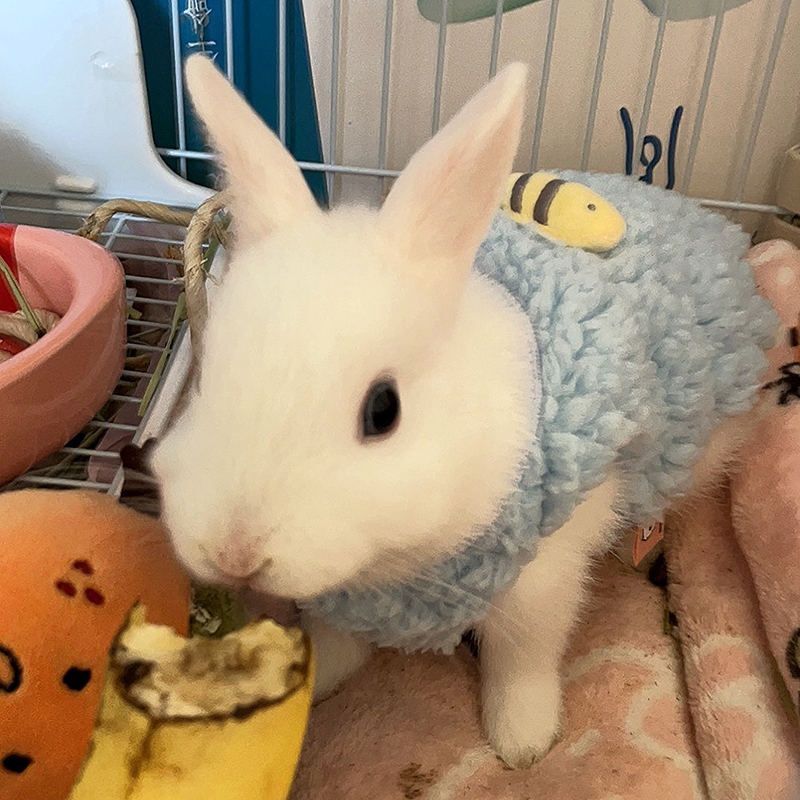 Winter Warm Bunny Rabbit Sweat - огляд і ціна Winter Clothing Newborn